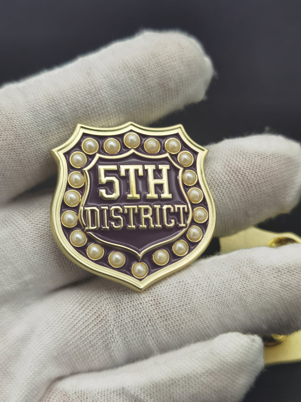 Official 5th District Lapel Pin