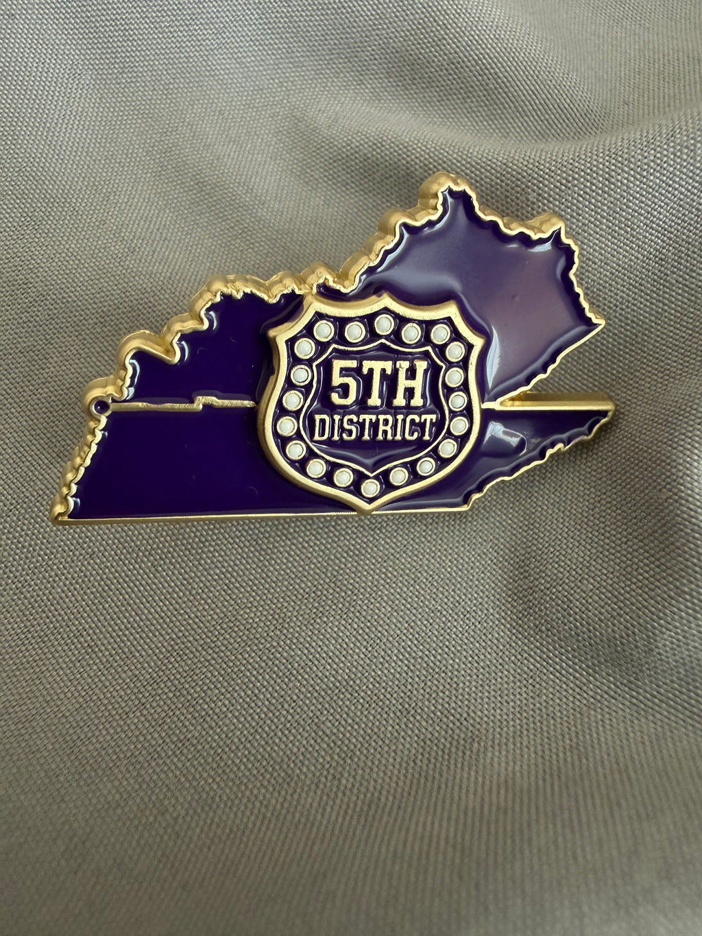 Official 5th District Lapel Pin